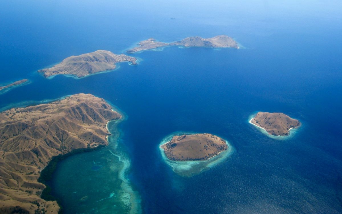 Komodo Komodo